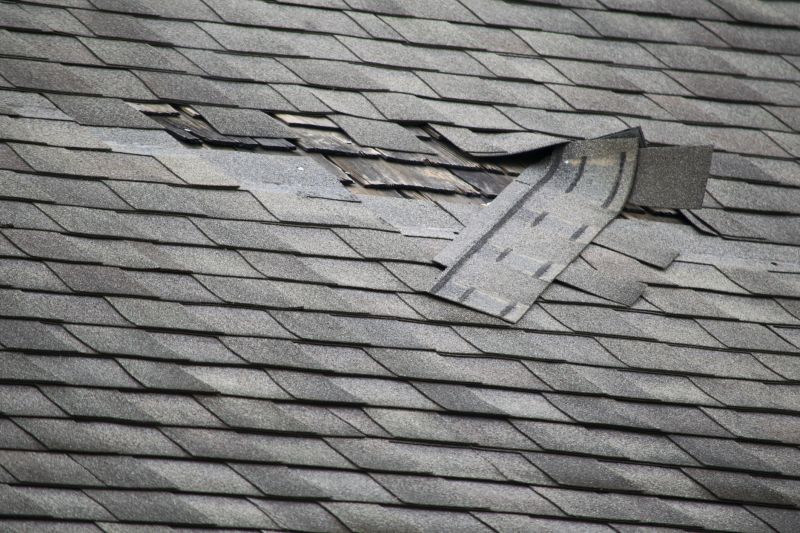 Asphalt Roof Leak Repair in Granville, OH