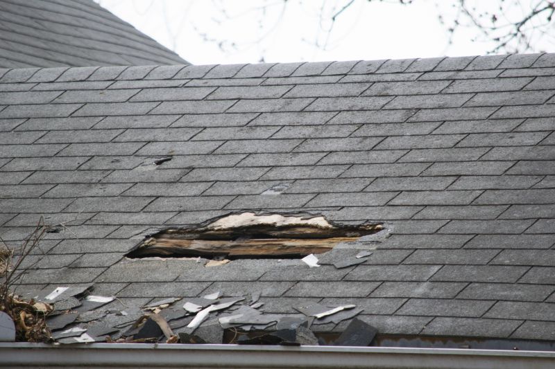 Asphalt Roof Leak Repair in Licking County, OH