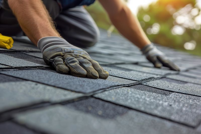 Asphalt Roof Leak Repair in Nashport, OH