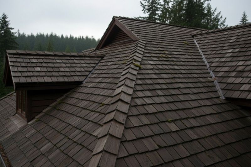 Cedar Shake Roof Replacement in Licking County, OH