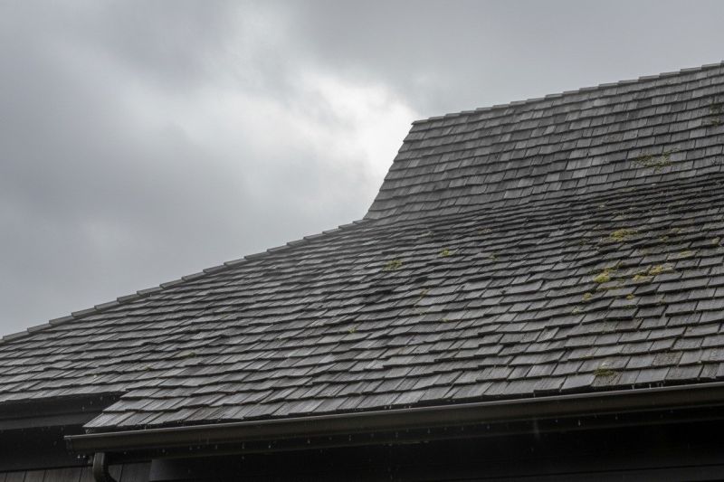 Cedar Shingles Replacement in Knox County, OH