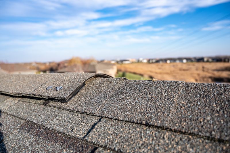 Damaged Roof Repair in Buckeye Lake, OH
