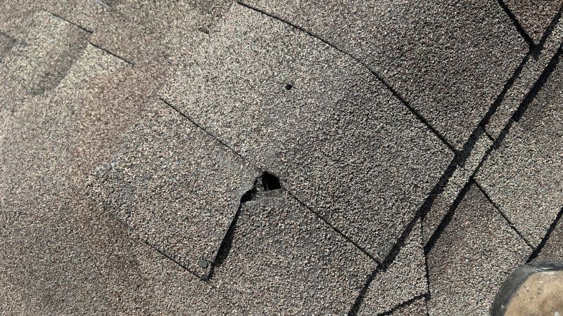 Damaged Roof Repair in Reynoldsburg, OH