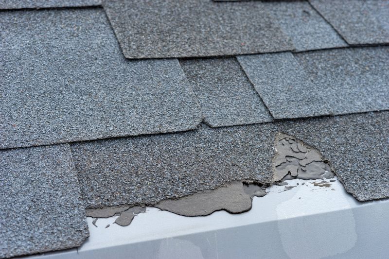 Damaged Roof Repair in Sunbury, OH