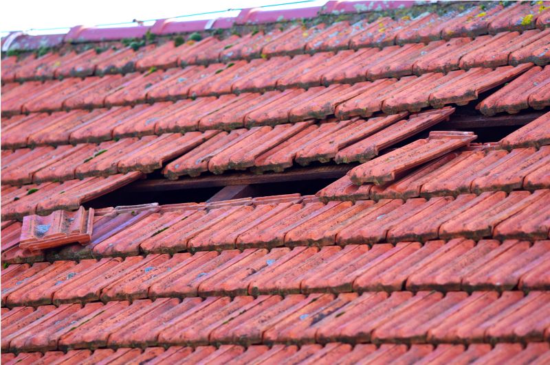 Damaged Roof Replacement in Martinsburg, OH
