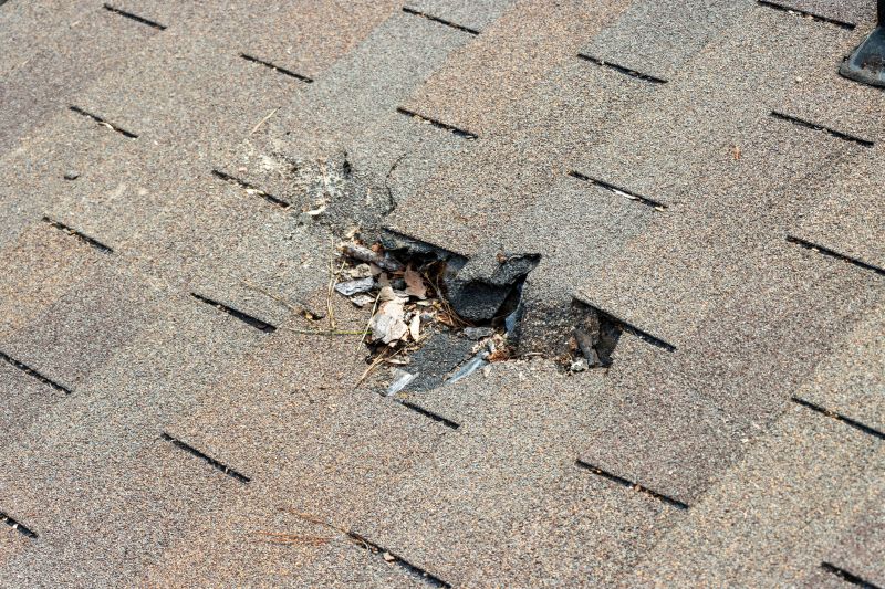 Damaged Roof Replacement in Reynoldsburg, OH