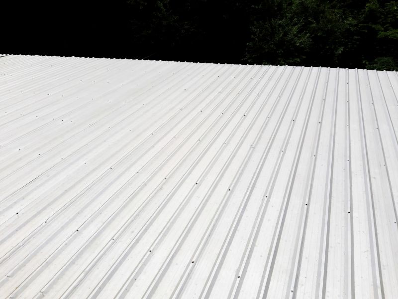 Galvanized Roof Repair in Licking County, OH