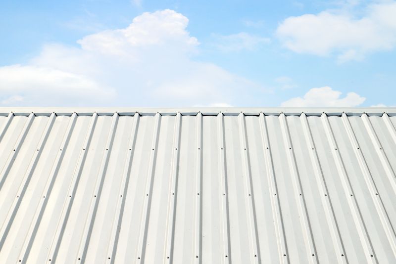 Metal Roof Coating Service in Licking County, OH