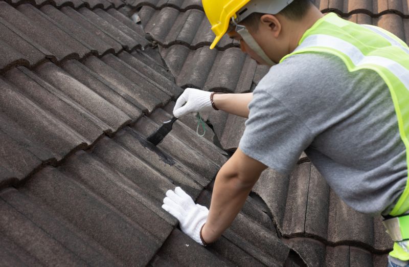 Roof Patching Service in Licking County, OH