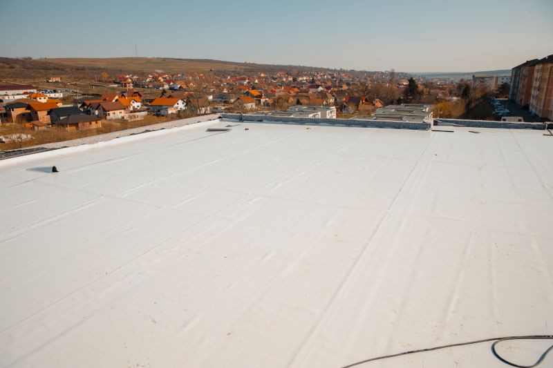 Rubber Roof Repair in Martinsburg, OH