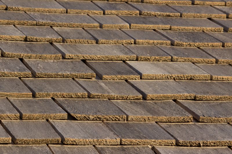 Shake Shingle Repair in Martinsburg, OH