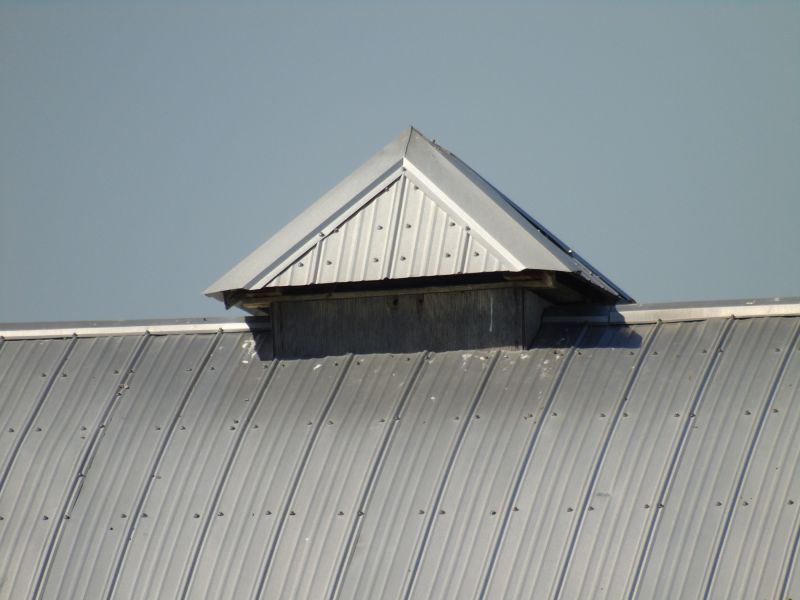 Tin Roof Installation in Martinsburg, OH
